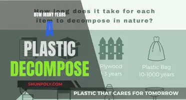 Plastic Decomposition: How Long Does it Take?