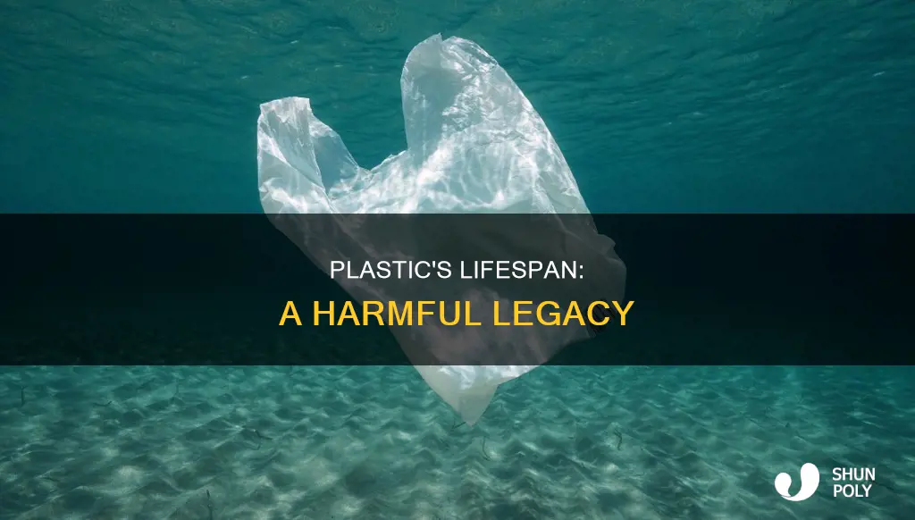 how many years does plastic last