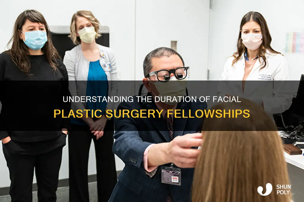 how many years facial plastic surgery fellowship