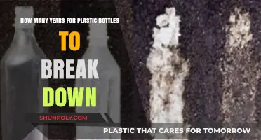 Plastic Bottles' Long Decomposition: Understanding Their Environmental Impact Over Years