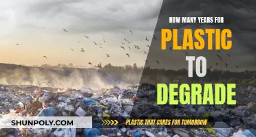The Long Haul: Plastic Degradation Timeline