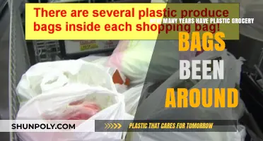 The Surprising History of Plastic Grocery Bags: A Timeline