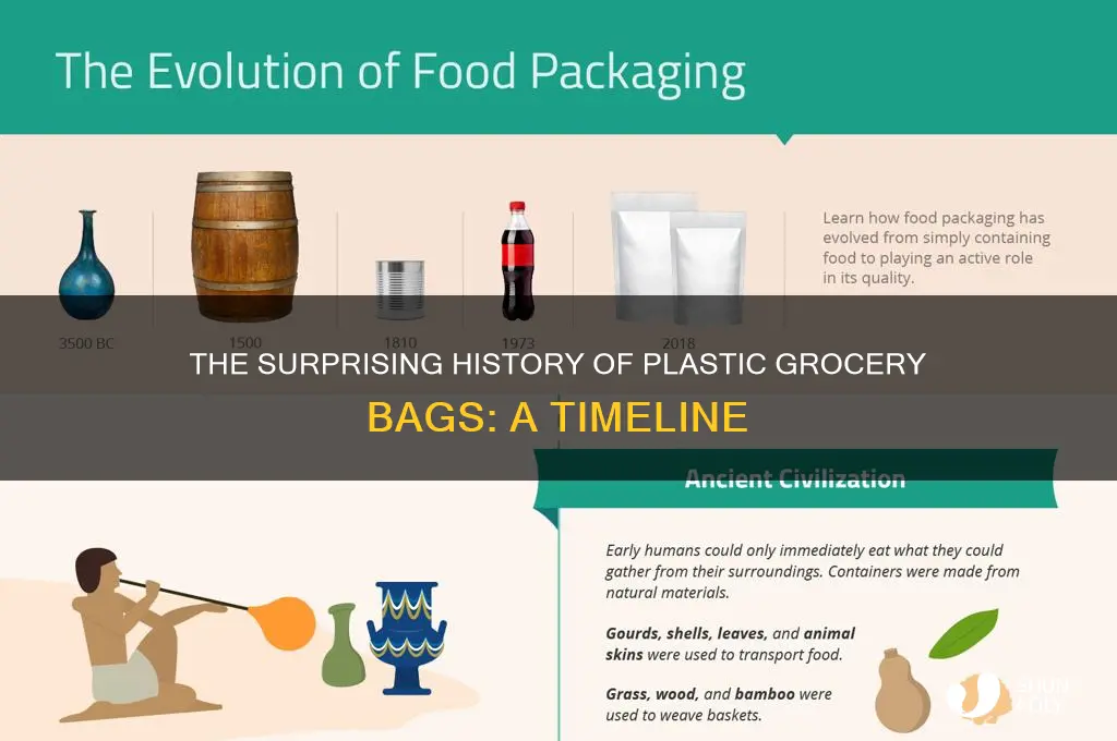 how many years have plastic grocery bags been around