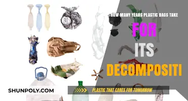 Plastic Bags' Long Decomposition Journey: A Timeline Revealed