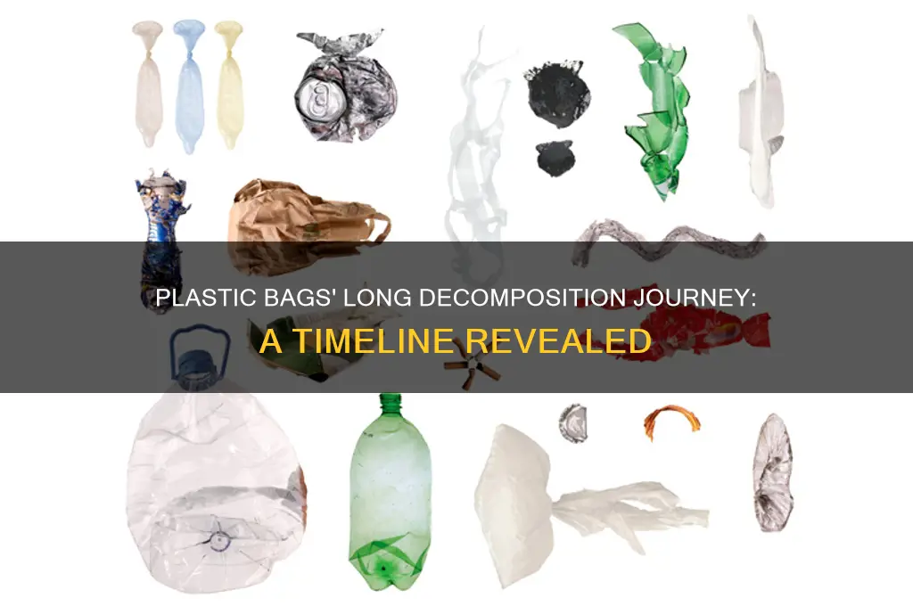 how many years plastic bags take for its decomposition