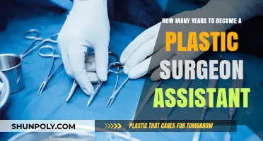 Becoming a Plastic Surgeon Assistant: Timeline and Career Path Explained
