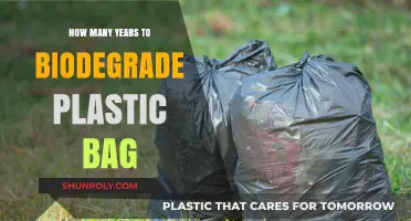 Plastic Bag Biodegradation: Understanding the Decades-Long Environmental Impact