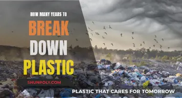 The Long Haul: Plastic Breakdown Timeline
