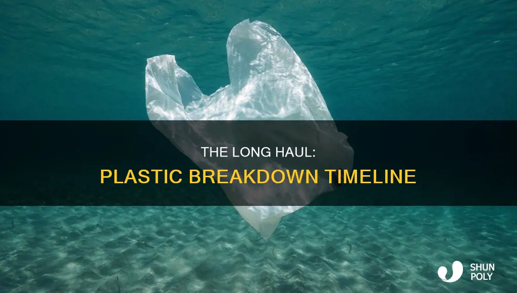 how many years to break down plastic