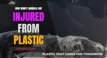 Plastic's Devastating Impact on Wildlife