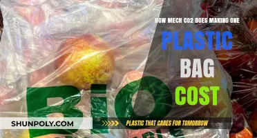The Hidden Carbon Cost of Producing a Single Plastic Bag