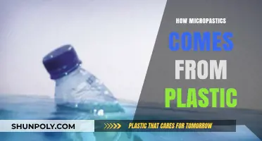 Unseen Invaders: The Journey of Microplastics from Plastic to Environment