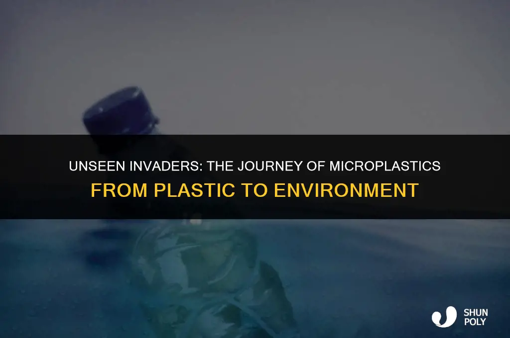 how micropastics comes from plastic