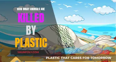 Plastic Pollution: Killing Millions of Animals