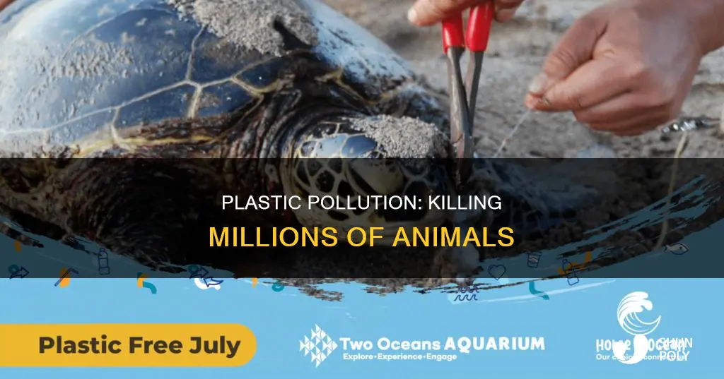 how mnay animals are killed by plastic