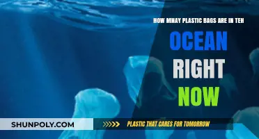 The Alarming Number of Plastic Bags Polluting Our Oceans Today