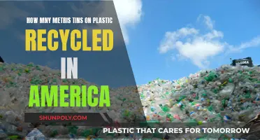 Plastic Recycling Metrics: America's Progress