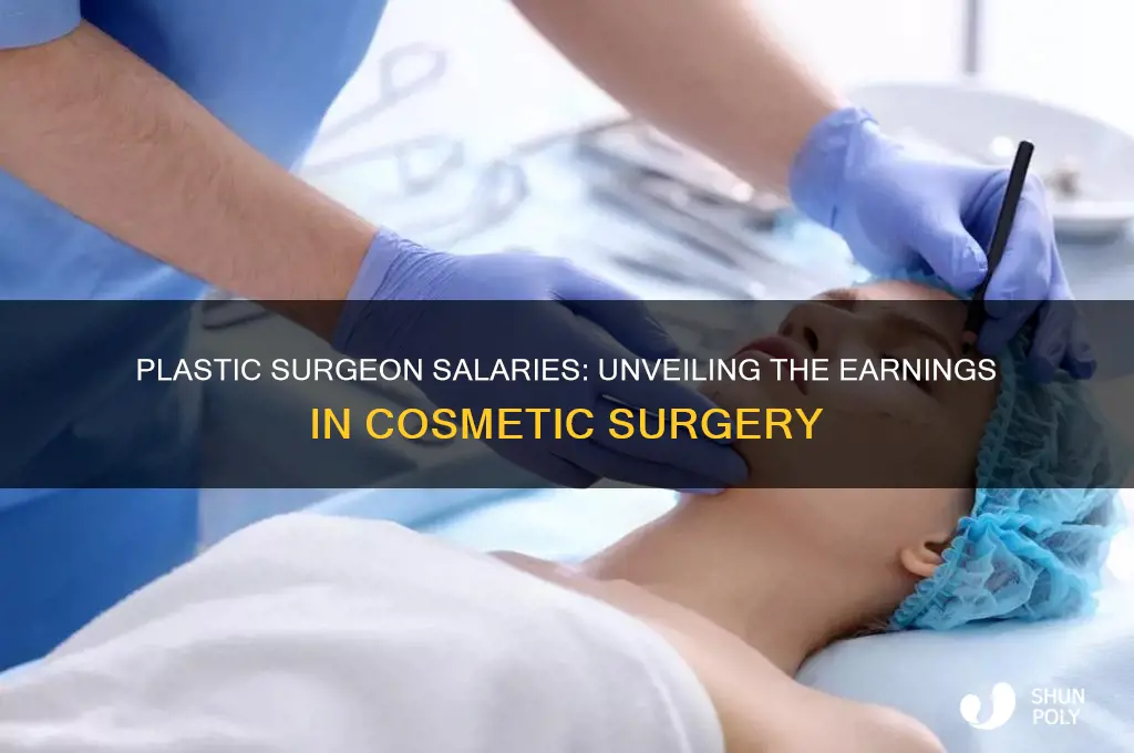 how mu h do plastic surgeons earn