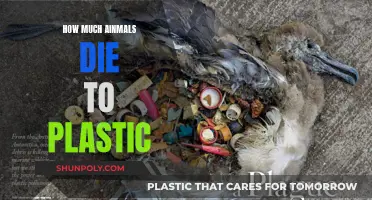 Plastic Pollution: Killing Animals, Destroying Ecosystems