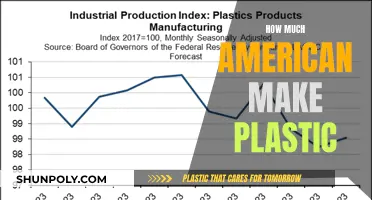 The Plastic Problem: America's Addiction to Single-Use Plastics