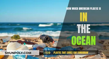 The Ocean's American Plastic Problem: A Growing Concern