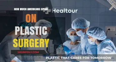 Americans' Plastic Surgery Spending: Trends, Costs, and Popular Procedures