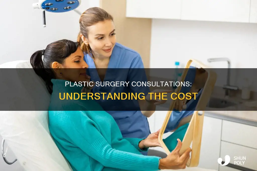 how much are consultations with plastic surgeons