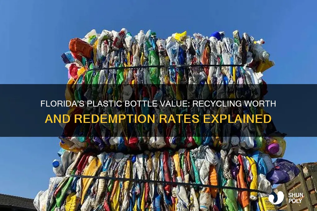 how much are plastic bottles worth in florida