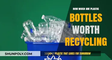 Recycling Plastic Bottles: Understanding Their Value and Environmental Impact