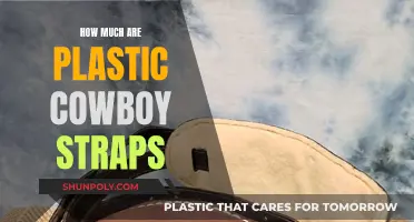 Plastic Cowboy Hat Costs: What's the Price to Pay?