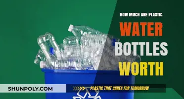 Plastic Water Bottle Value: Recycling Worth and Environmental Impact Explained