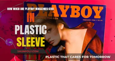 Playboy Magazines: Preserving Value in Plastic Sleeves