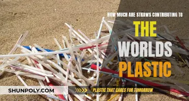 Straws: A Plastic Pollution Plague