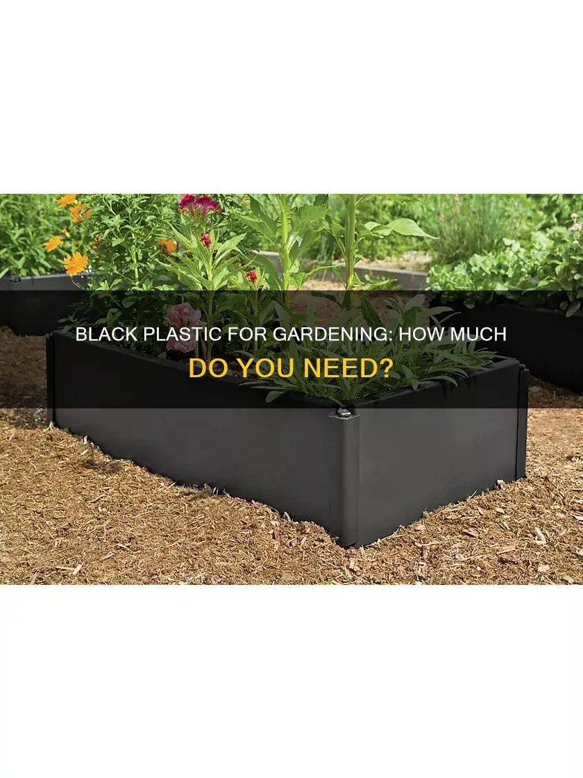 how much black plastic for garden