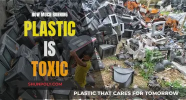 Burning Plastic: Understanding the Toxicity and Health Risks