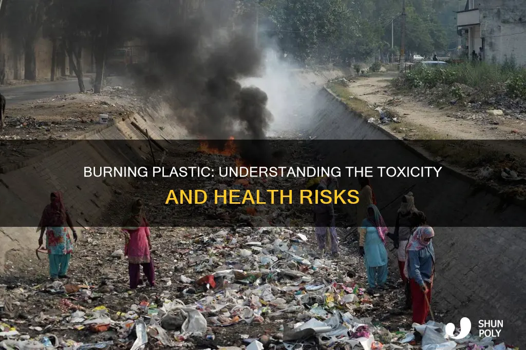 how much burning plastic is toxic