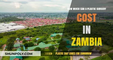Plastic Surgery Costs in Zambia: What to Expect Financially