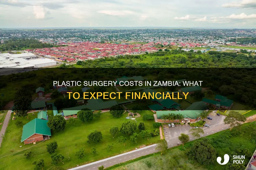 how much can a plastic surgery cost in zambia