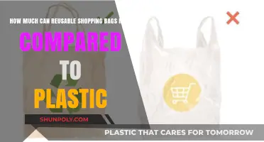 Reusable vs. Plastic: Comparing Shopping Bag Capacity and Durability