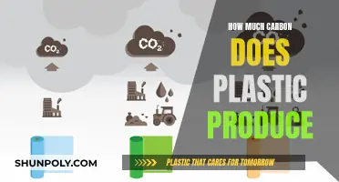 Plastic's Carbon Footprint: How Much is Too Much?