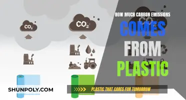 Plastic's Carbon Emissions: A Hidden Environmental Disaster