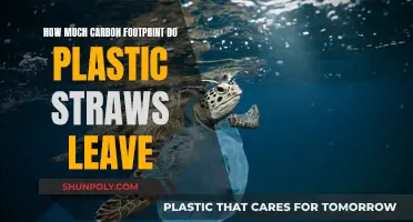 Plastic Straws: Carbon Footprint Impact and Environmental Cost