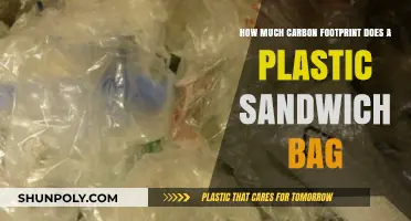 Plastic Sandwich Bags: Uncovering Their Hidden Carbon Footprint Impact