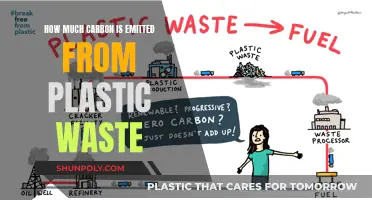 Plastic Waste's Carbon Footprint: A Climate Concern