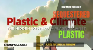 Unlocking the Carbon Capture Potential of Plastics