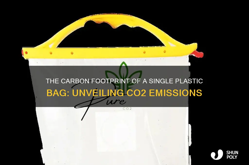 how much co2 does one plastic bag create