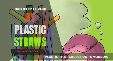 Plastic Straws: CO2 Emissions and Environmental Impact