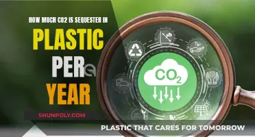 Plastic's CO2 Sequestration: An Annual Analysis