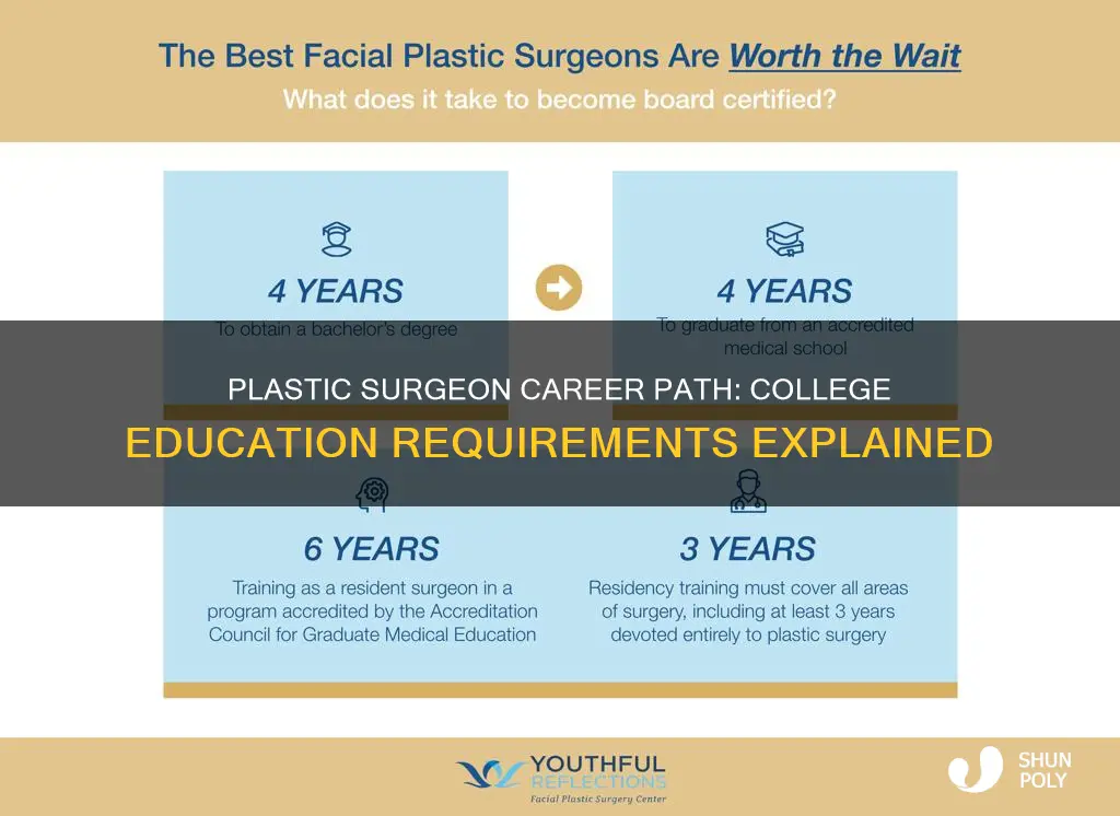 how much college for a plastic surgeon