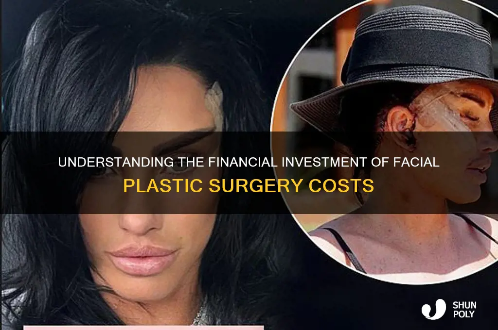 how much cost face plastic surgery